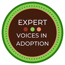 Expert Voices in Adoption